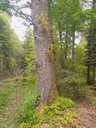 20230519_Uster-A4941_Ei_250_2_Easy-Resize.com_.jpg