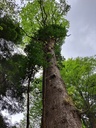 861021-2_Easy-Resize.com_-1.jpg