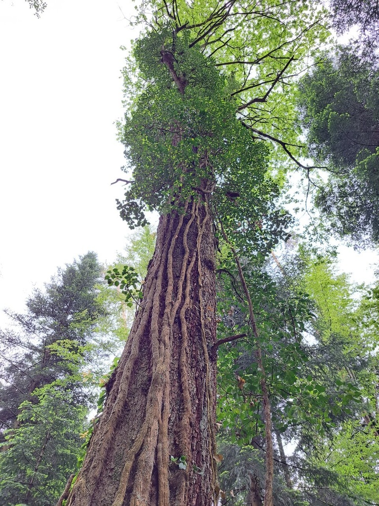 861021-6_Easy-Resize.com_-1.jpg