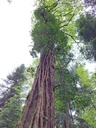 861021-6_Easy-Resize.com_-1.jpg