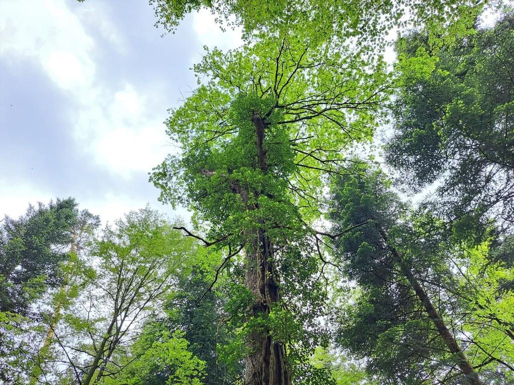 861021-11_Easy-Resize.com_-2.jpg