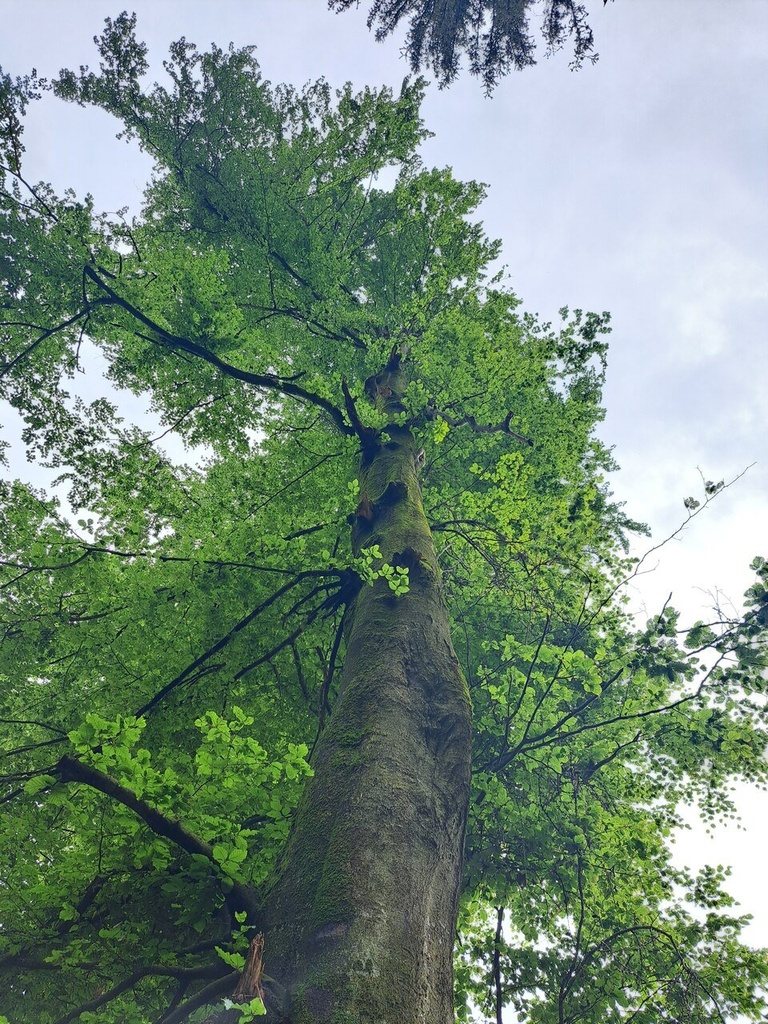 861021-5_Easy-Resize.com_-1.jpg