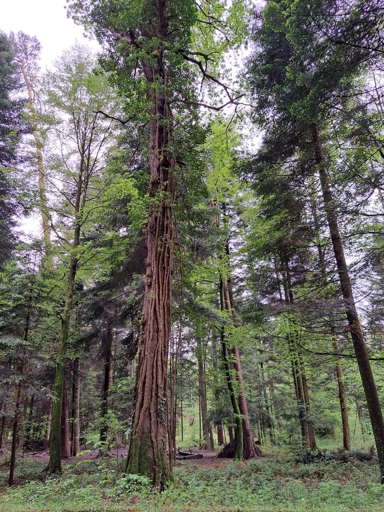 861021-12_Easy-Resize.com_-2.jpg