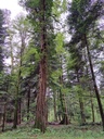 861021-12_Easy-Resize.com_-2.jpg