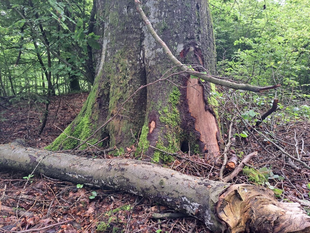 861021-7_Easy-Resize.com_.jpg