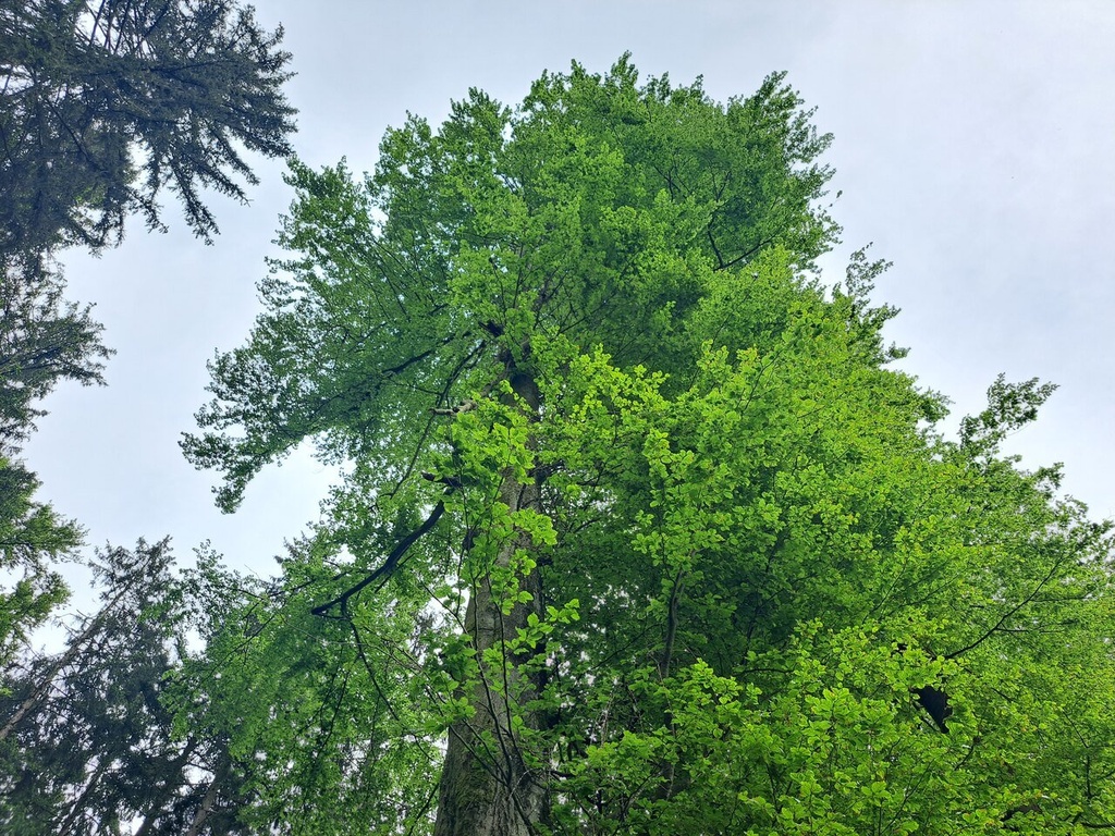 861021-24_Easy-Resize.com_.jpg