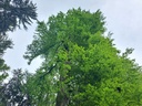861021-24_Easy-Resize.com_.jpg