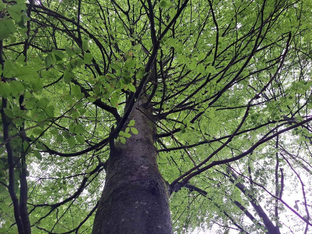 861021-7_Easy-Resize.com_-1.jpg
