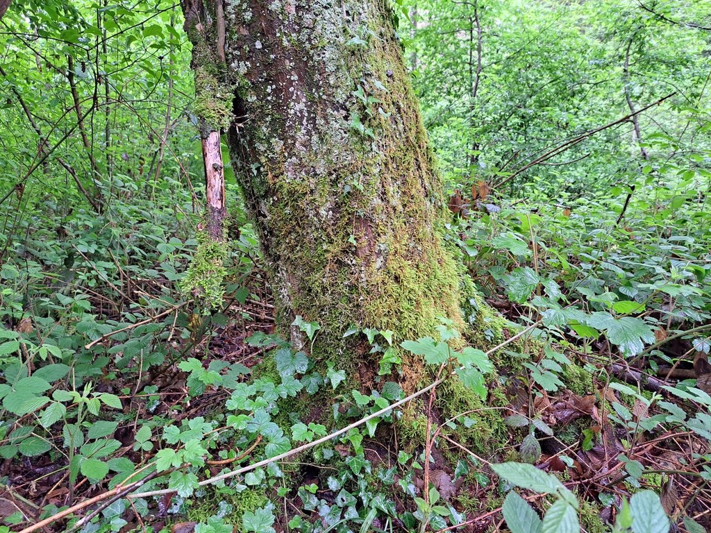 861021-2_Easy-Resize.com_-3.jpg