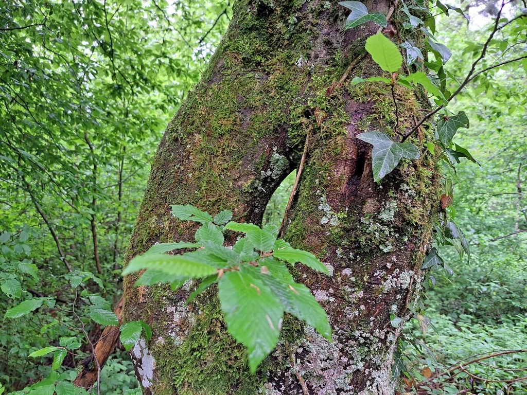 861021-3_Easy-Resize.com_-2.jpg