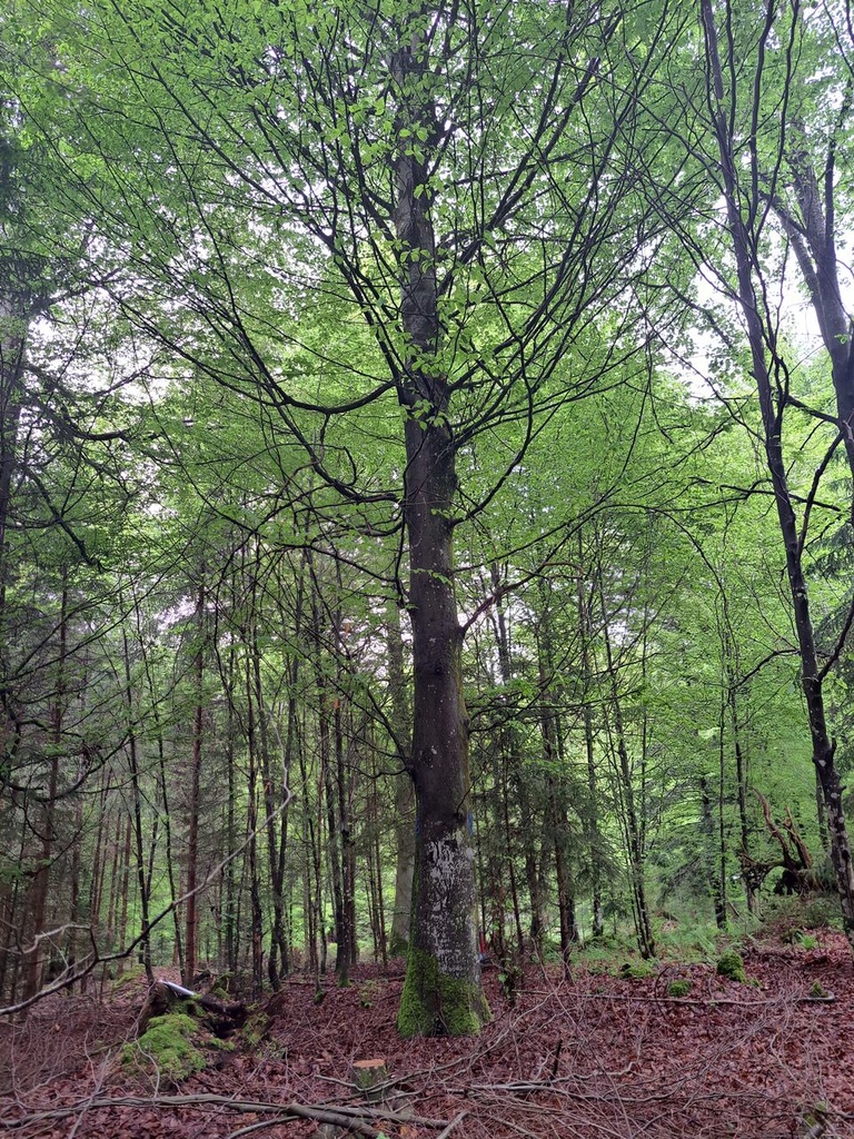 861021-12_Easy-Resize.com_.jpg