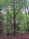 861021-12_Easy-Resize.com_.jpg