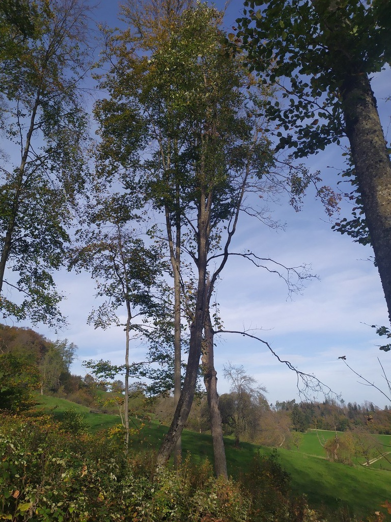 1667199936923_Easy-Resize.com_.jpg