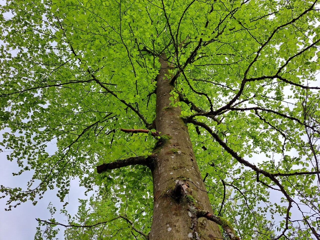861021-10_Easy-Resize.com_-1.jpg