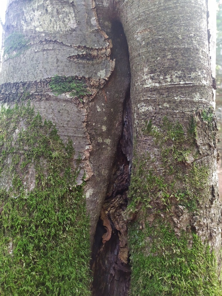 1667159082596_Easy-Resize.com_.jpg