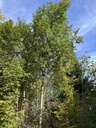 IMG_2702_Easy-Resize.com_.jpg