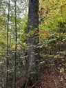 IMG_2683_Easy-Resize.com_.jpg