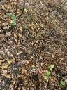 IMG_2689_Easy-Resize.com_.jpg