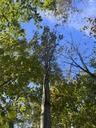 IMG_2713_Easy-Resize.com_.jpg