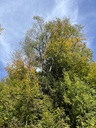 Robinson-2_Easy-Resize.com_.jpg