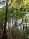 Doppelhelix-Web-2_Easy-Resize.com_.jpg