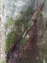 Doppelhelix-Web-3_Easy-Resize.com_.jpg