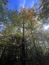IMG_2721_Easy-Resize.com_.jpg