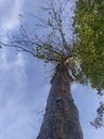Tausendsasse-Web-2_Easy-Resize.com_.jpg