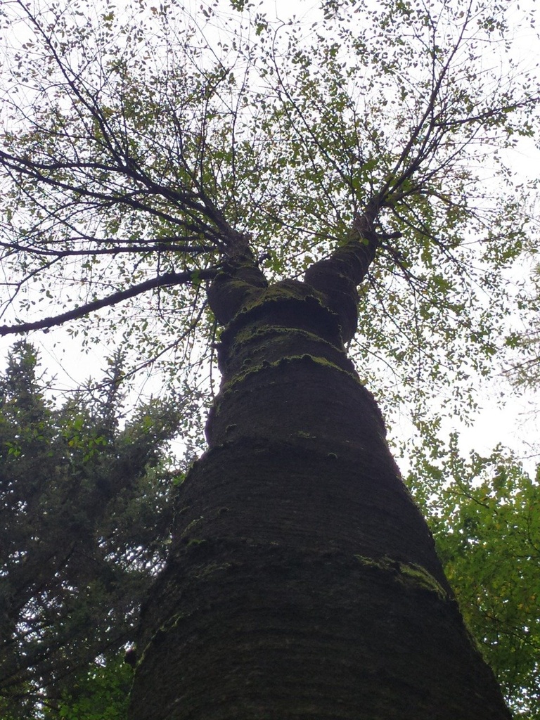 hasenheim_Easy-Resize.com_.jpg