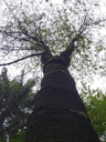 hasenheim_Easy-Resize.com_.jpg