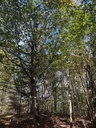 IMG_2722_Easy-Resize.com_.jpg
