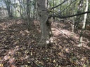 IMG_2723_Easy-Resize.com_.jpg