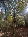 IMG_2724_Easy-Resize.com_.jpg