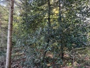 IMG_2736_Easy-Resize.com_.jpg