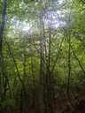 jorinde_Easy-Resize.com_.jpg