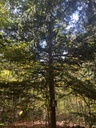 IMG_2743_Easy-Resize.com_.jpg