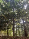 IMG_2744_Easy-Resize.com_.jpg