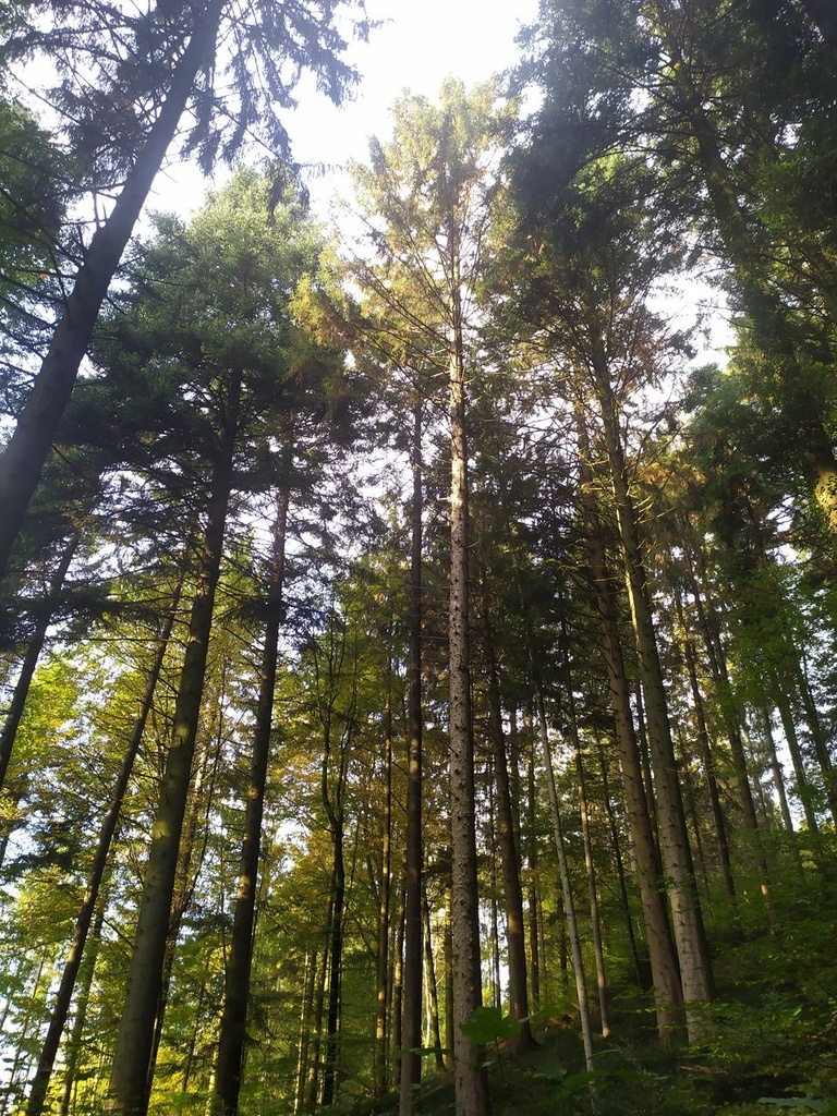1665662576396_Easy-Resize.com_.jpg