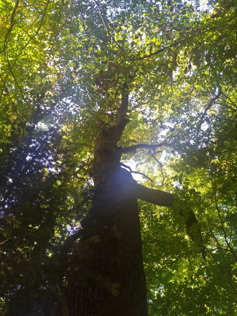 1665137214837_Easy-Resize.com_.jpg