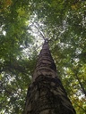 lilith_Easy-Resize.com_.jpg