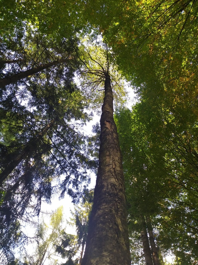 1665133393622_Easy-Resize.com_.jpg