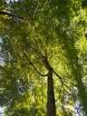 golem_Easy-Resize.com_.jpg