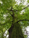 1663586265147_Easy-Resize.com_.jpg