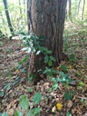 1665255271173_Easy-Resize.com_.jpg