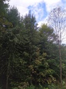 der-schlanke_Easy-Resize.com_.jpg
