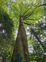 Schraubfundament_5_1500px.jpg