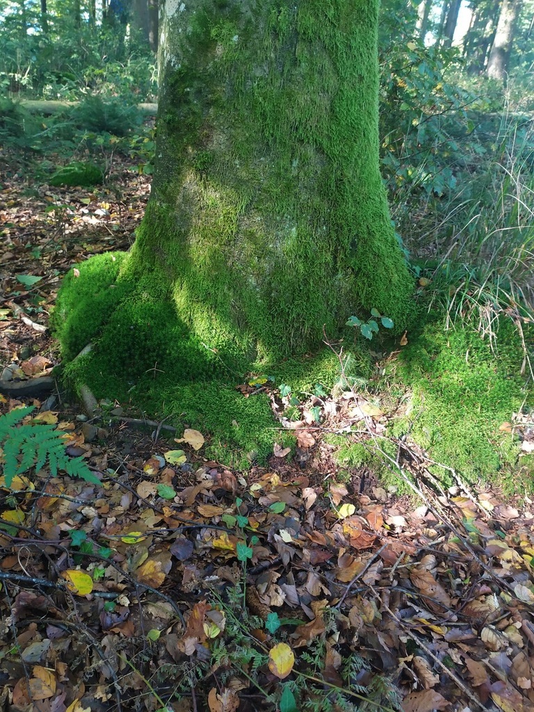 1665258675702_Easy-Resize.com_.jpg