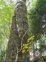 Schraubfundament_6_1500px.jpg