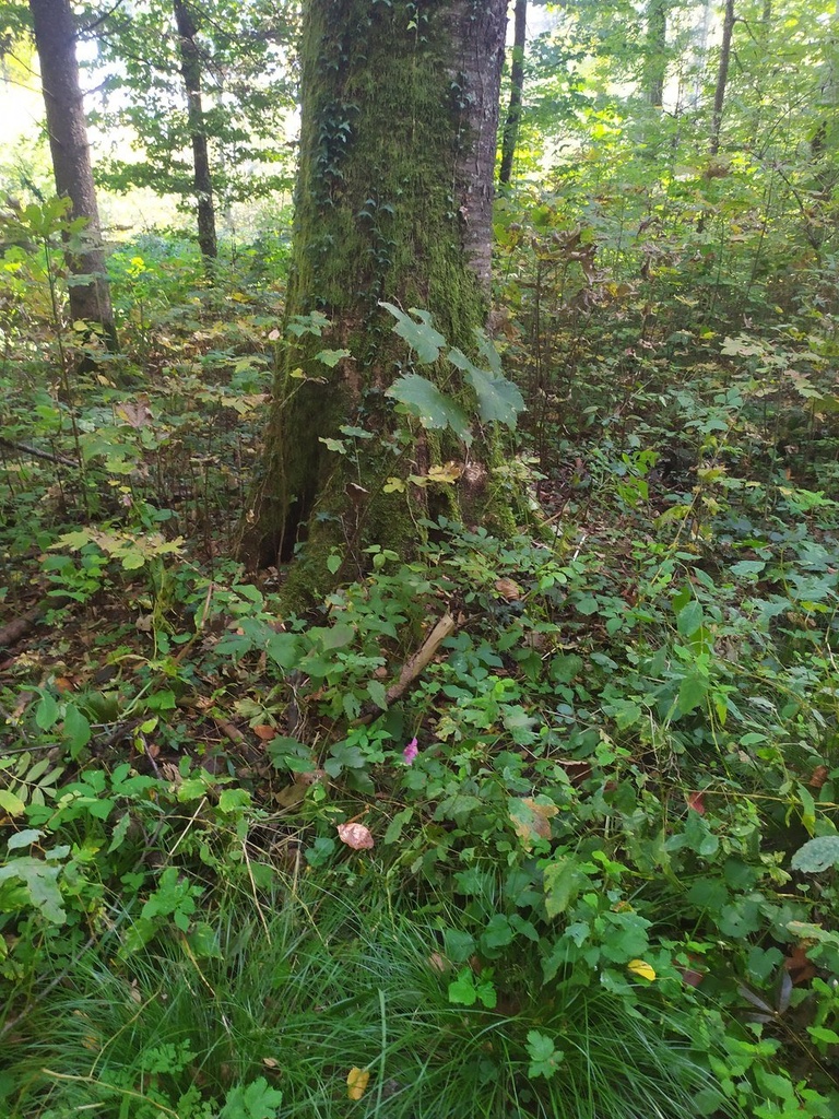 1665215939662_Easy-Resize.com_.jpg
