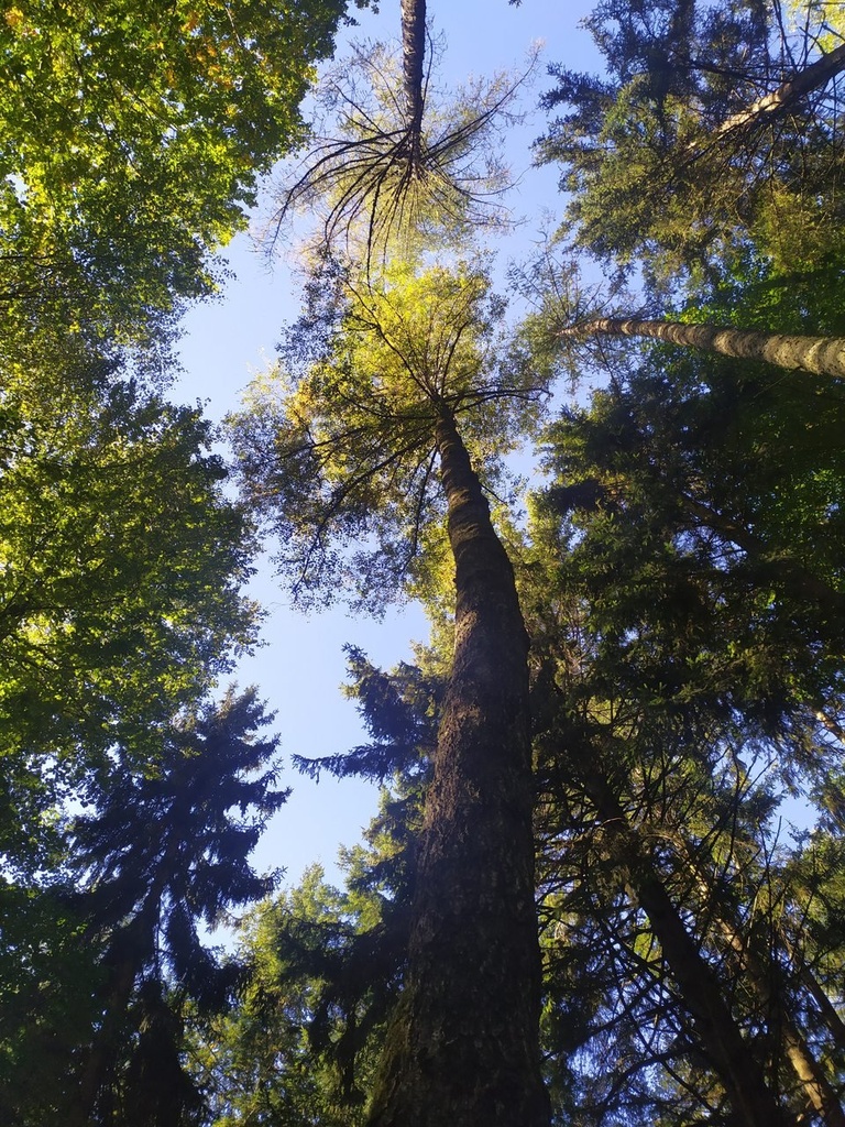fuchur_Easy-Resize.com_.jpg